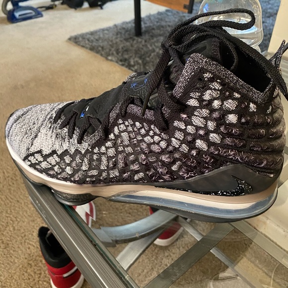 Nike Other - Lebron James 17